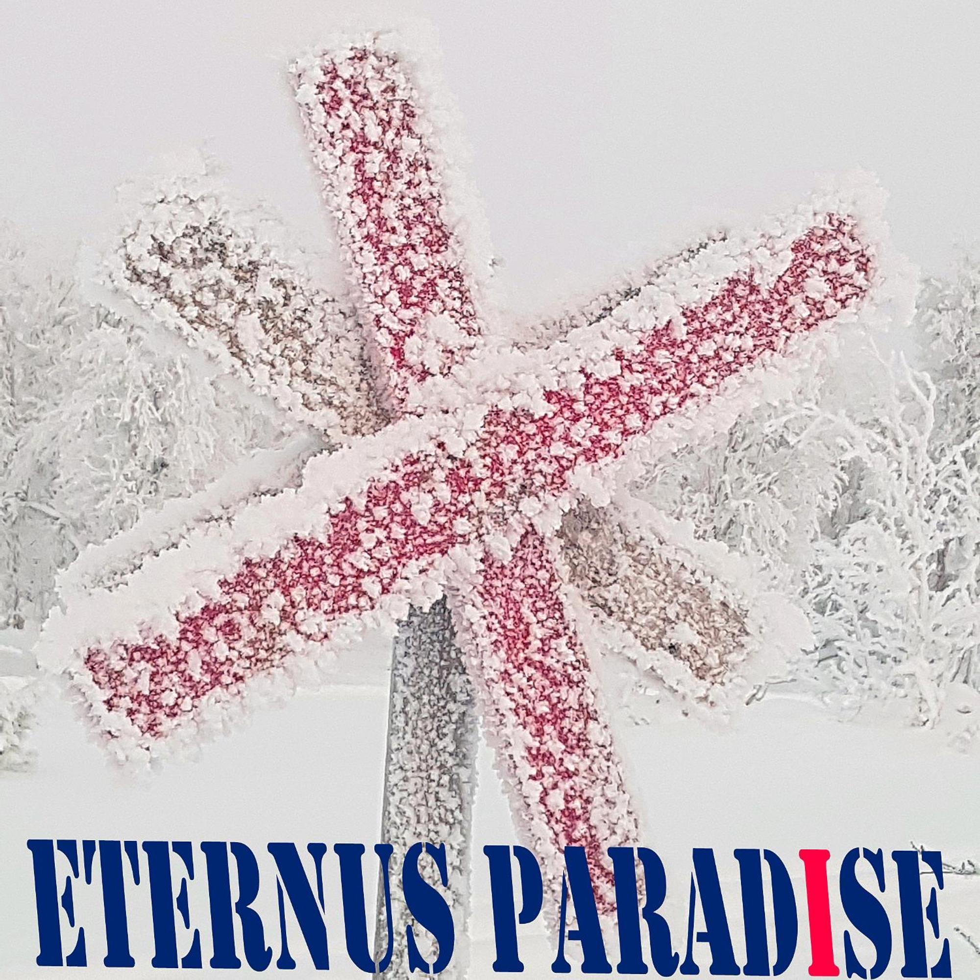Eternus Paradise Tarnaby Luaran gambar
